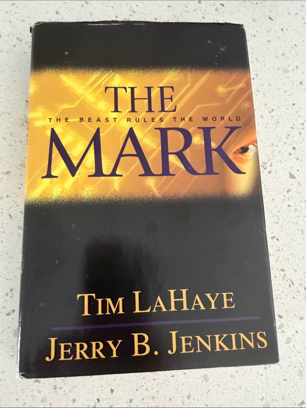 The Mark Book Hardcover Book With Dust cover By Tim LaHaye & Jerry B. Jenkins